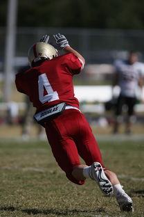 西悉尼流浪者赛前体能检测通过,争冠筹备顺利