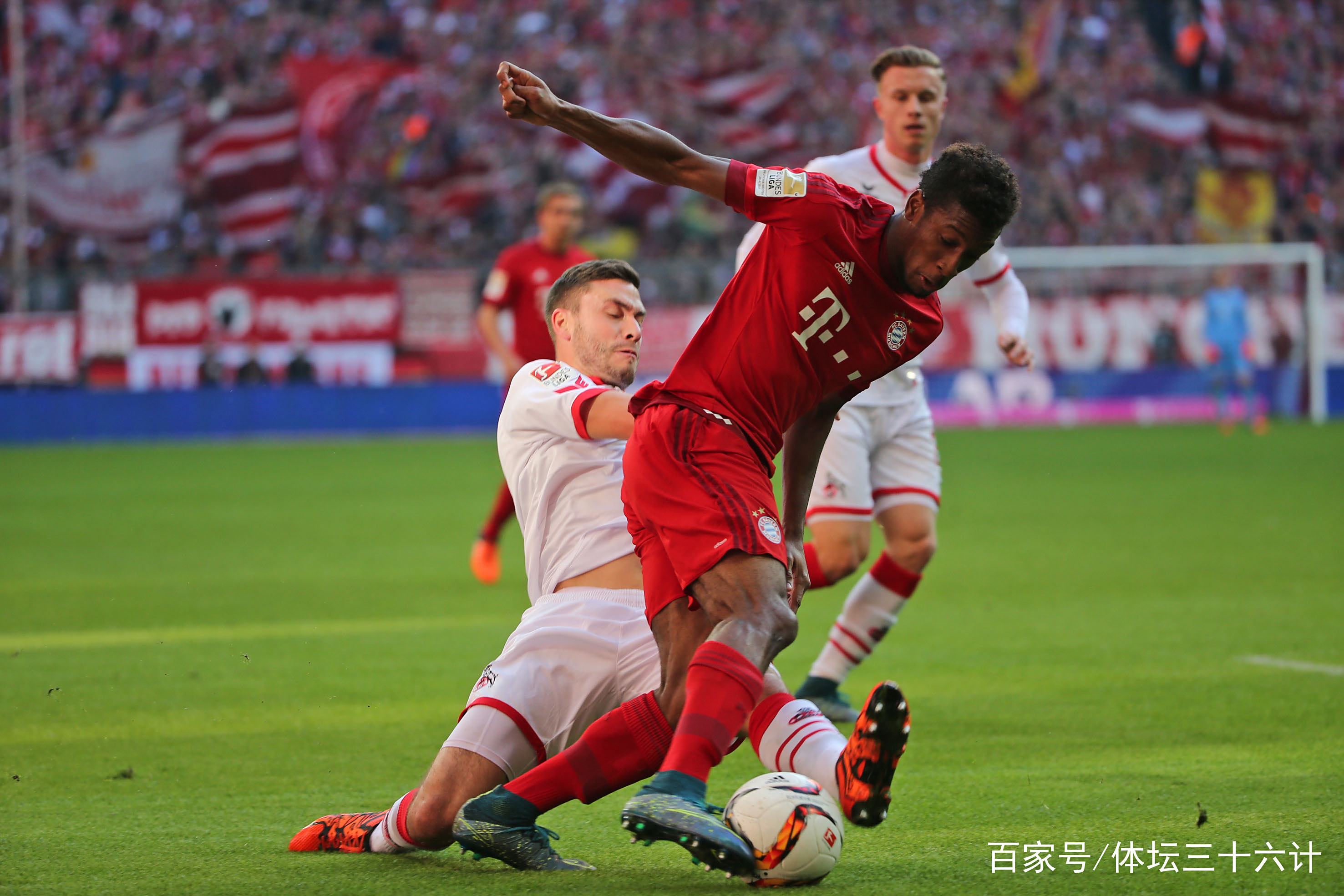 科隆主场失利，保级梦魇再现，陷入保级区深渊的简单介绍